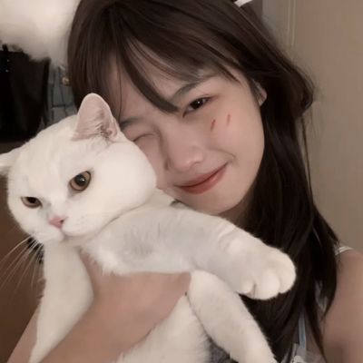 凤舞乾坤官方版下载