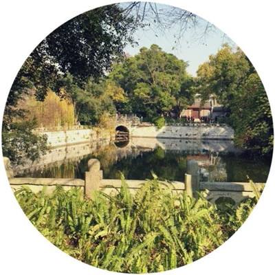 全民足球经理360版下载